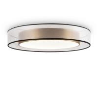 Потолочный светодиодный светильник Freya Zoticus FR6005CL-L48G