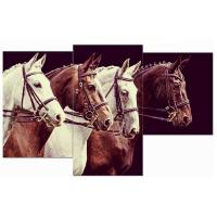 Мини модульная картина Toplight 55х94см TL-MM1016