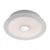Потолочный светодиодный светильник ST Luce SL471.502.01