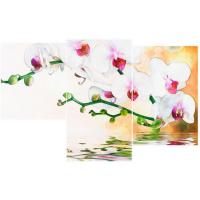 Мини модульная картина Toplight 55х94см TL-MM1055