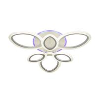 Потолочная светодиодная люстра Seven Fires Salve 75328.01.09.06