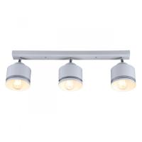 Спот IMEX SP.025-53-80