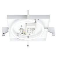 Настенно-потолочный светильник Paulmann Basis Square 70047