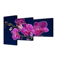 Модульная картина Божественный цветок Toplight 150х100см TL-M2020