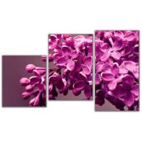 Мини модульная картина Сирень Toplight 55х94см TL-MM1006