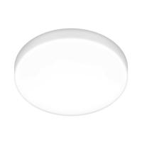 Потолочный светодиодный светильник Elektrostandard DLR043 10W 4200K a047940