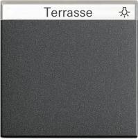 Лицевая панель Gira System 55 выключателя с полем для надписи антрацит 029928