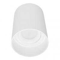 Потолочный светильник Lumina Deco Flixton LDC 8053-A SS-D85*H115 WT