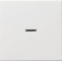 Лицевая панель Gira System 55 выключателя одноклавишного с подсветкой чисто-белый шелковисто-матовый 029027