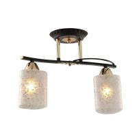 Потолочный светильник Citilux Мотив CL166121