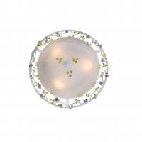 Потолочный светильник ST Luce Fiori SL695.502.03