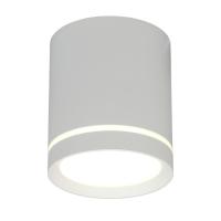 Потолочный светодиодный светильник Omnilux Capurso OML-102429-05