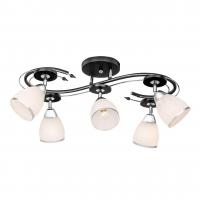 Спот Silver Light Austerity 245.59.5