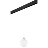 Трековый светильник Lightstar Globo (813023+595007) PRO813023