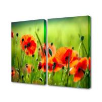 Модульная картина Маковые поля Toplight 100х75см TL-M2051