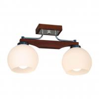 Потолочный светильник Citilux Ариста CL164321