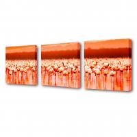 Модульная картина Toplight Животные 50х150см TL-M2025