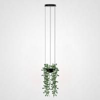 Подвесной Светильник Palma Pendant Вазон By Imperiumloft