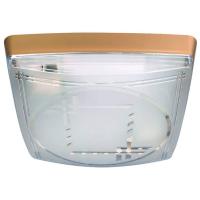 Потолочный светильник Horoz Модерн 400-021-103 HRZ00001422