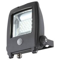 Прожектор светодиодный с датчиком движения Globo Projecteur I 20W 34219S