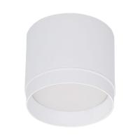 Потолочный светильник Reluce 53007-9.5-001LD GX53 WT