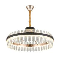 Подвесная светодиодная люстра Aployt Honori APL.027.03.102