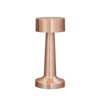 Настольная лампа Aployt Perrayn APL.671.04.01