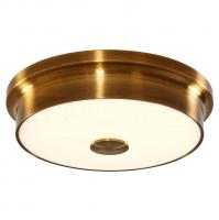 Потолочный светильник Citilux Фостер CL706222