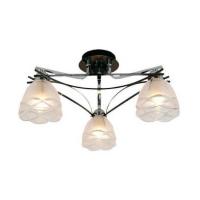 Потолочная люстра Citilux Сандра CL147131