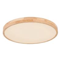 Потолочный светодиодный светильник Globo Leanara 41756-48