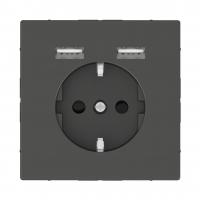 Розетка компьютерная USBx2 Schneider Electric Merten D-Life MTN2366-6034