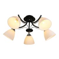 Потолочная люстра Wedo Light Kristian 66381.01.13.05