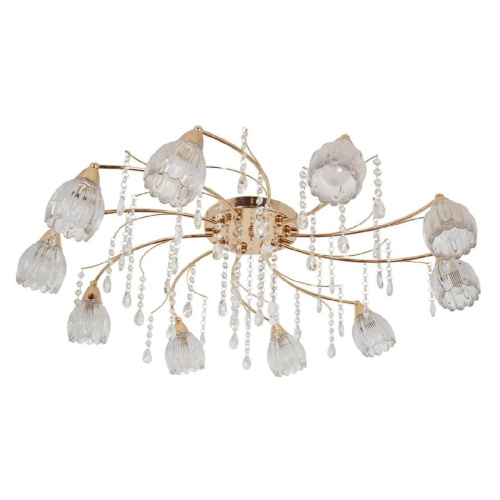 Потолочная люстра MW-Light Подснежник 294016710 Потолочная люстра MW-Light Подснежник 294016710
