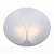 Накладной светильник ST Luce Tonico SL360.552.04