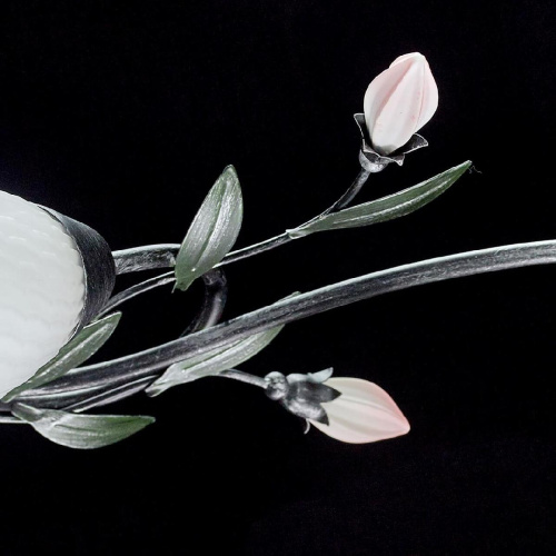 Потолочная люстра MW-Light Верона 334013504