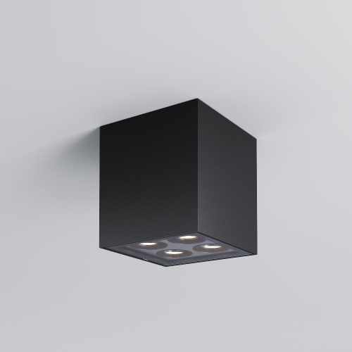 Потолочный светильник Outdoor O309CL-L8GF3K