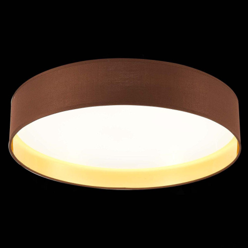 Потолочный светодиодный светильник Evoluce Brescia SLE300592-01 Потолочный светодиодный светильник Evoluce Brescia SLE300592-01