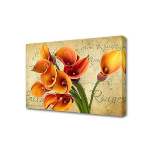 Холст Каллы Toplight 50х75х2см TL-H3028