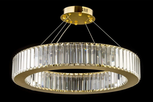 Подвесной светодиодный светильник Arti Lampadari Anzio L 1.5.60.100 G