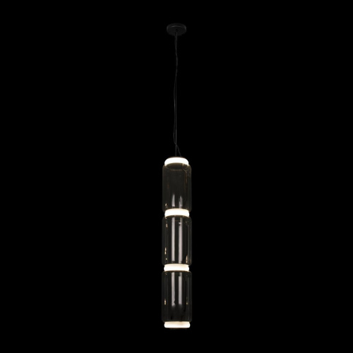Подвесной светодиодный светильник Loft IT Noctambule 10194/L Подвесной светодиодный светильник Loft IT Noctambule 10194/L