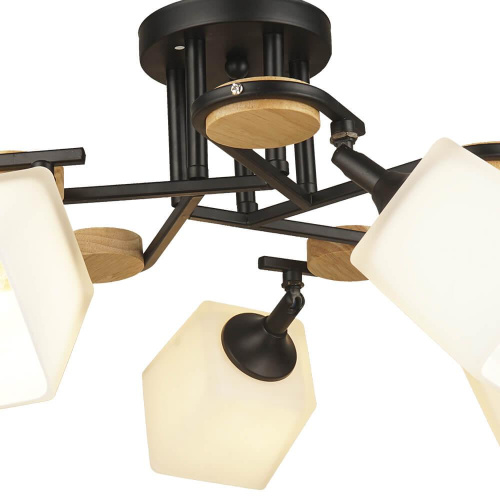 Потолочная люстра Wedo Light Ivetta 66582.01.14.05