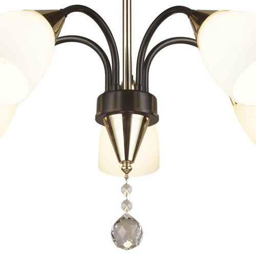 Потолочная люстра Seven Fires Tasita 66613.01.15.05