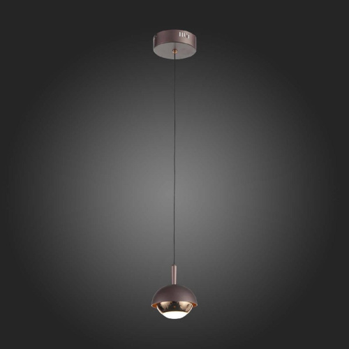 Подвесной светодиодный светильник ST Luce Entolla SL1602.323.01 Подвесной светодиодный светильник ST Luce Entolla SL1602.323.01