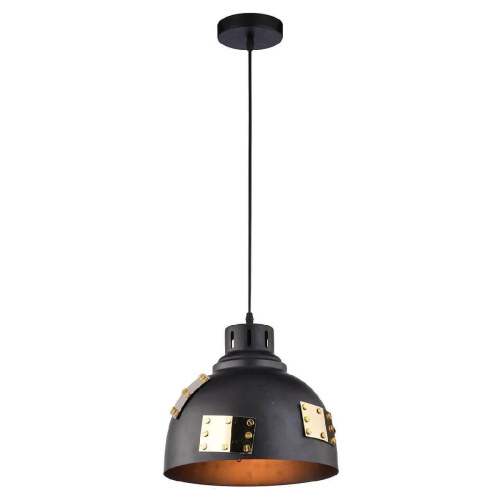 Подвесной светильник Arte Lamp Eurica A6024SP-1BK Подвесной светильник Arte Lamp Eurica A6024SP-1BK