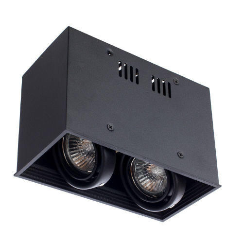 Потолочный светильник Arte Lamp Cardani A5942PL-2BK