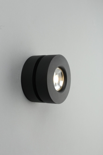 Потолочный светодиодный светильник Omnilux Borgetto OML-101919-12