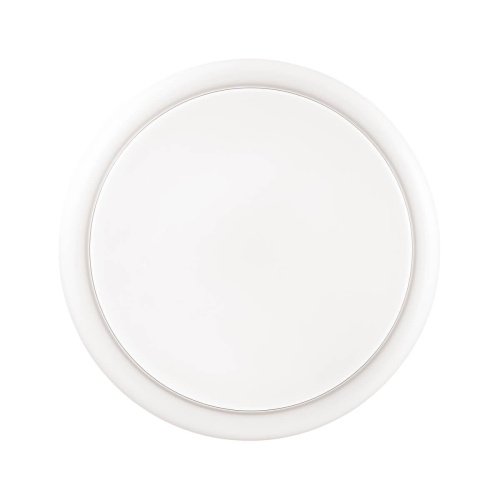 Настенно-потолочный светильник Sonex Smalli Vasta led 3022/BL