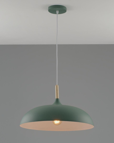 Подвесной светильник Moderli Hygo V11453-1P