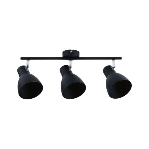 Спот Paulmann Davy 66761