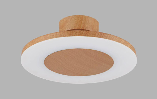 Потолочный светильник Mantra Discobolo 4495